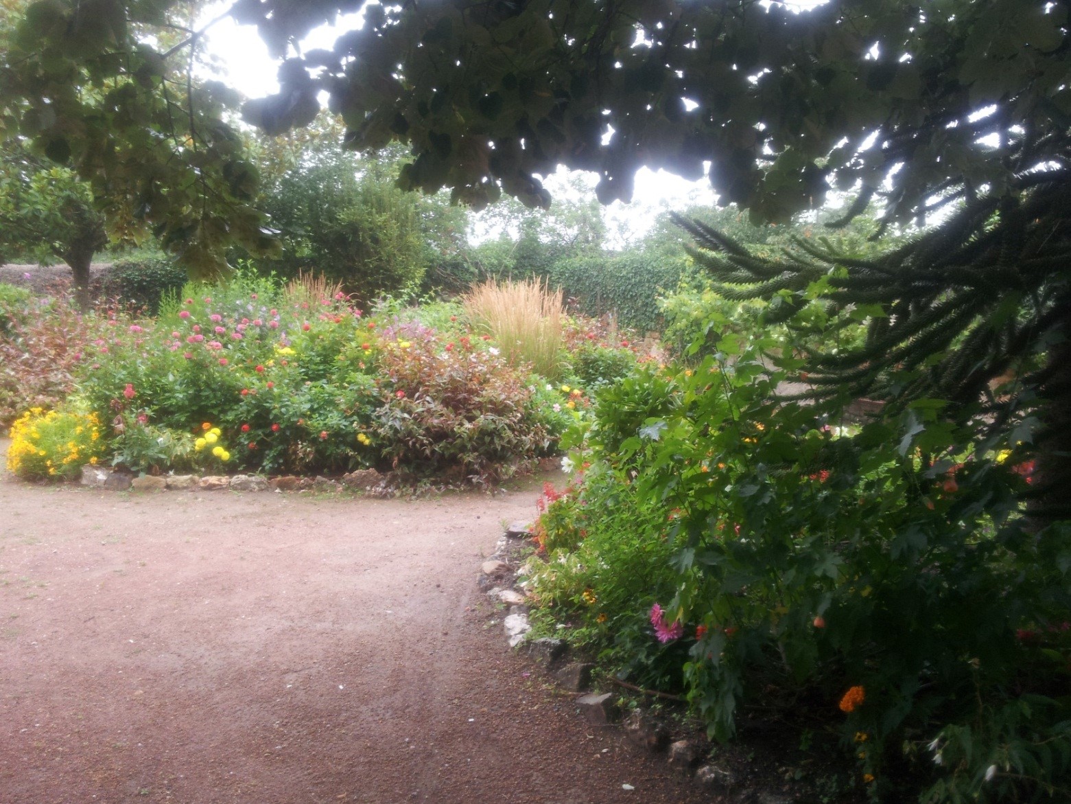 رونيه ديكارت وأُسس فلسفته العقلانيّة (5)