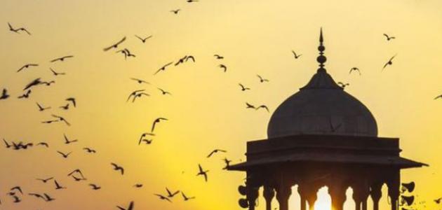 المذاهب الإسلامية .. الواقع والطموح