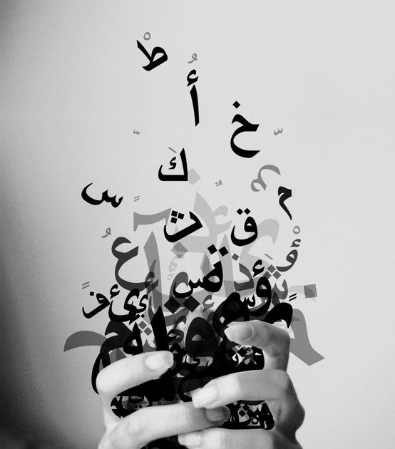 إحداثية القصيدة ومنحنى اكتشاف الدلالة