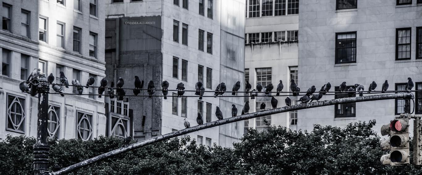 المكتوب على الجبين.. لابد أن تقرأه العين بحب