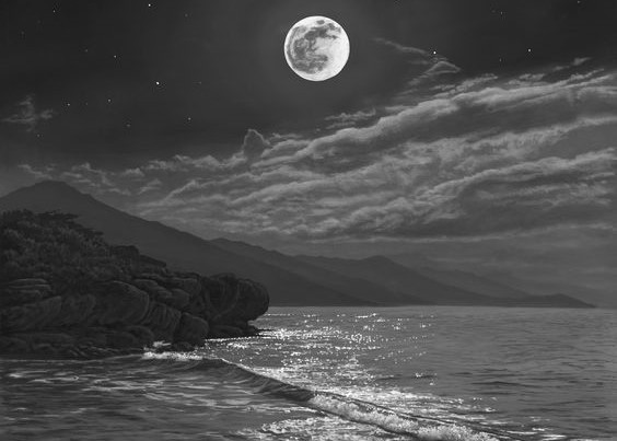 قمران وحيدان على الساحل الشرقي