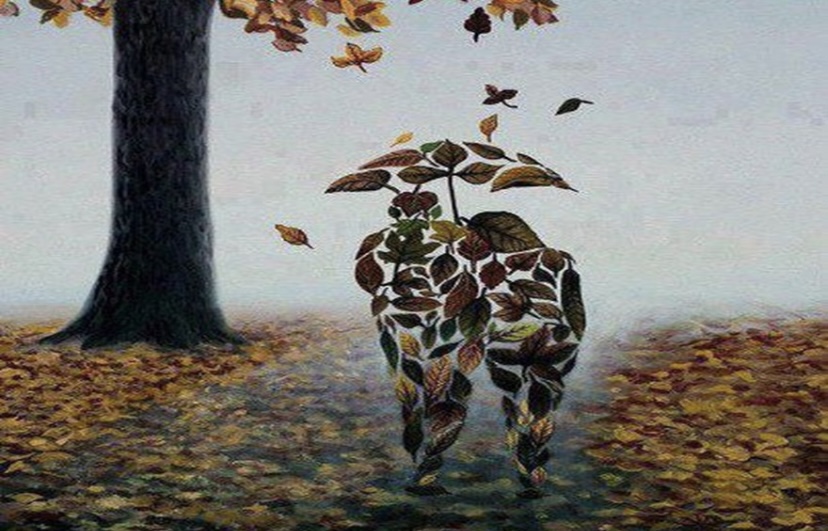 شذرات فلسفية في العشق من وحي اليوم العالمي للحب