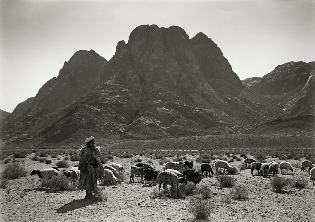 من الدلائل اللغوية على قوة موسى عليه السلام