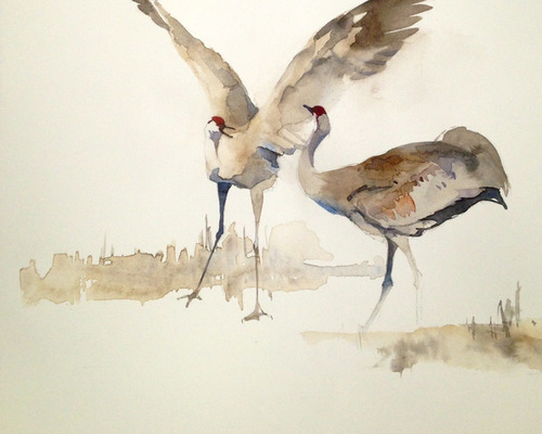 ما لَمْ تَقُلْهُ العرّافَةُ عن عابِرٍ مجهول