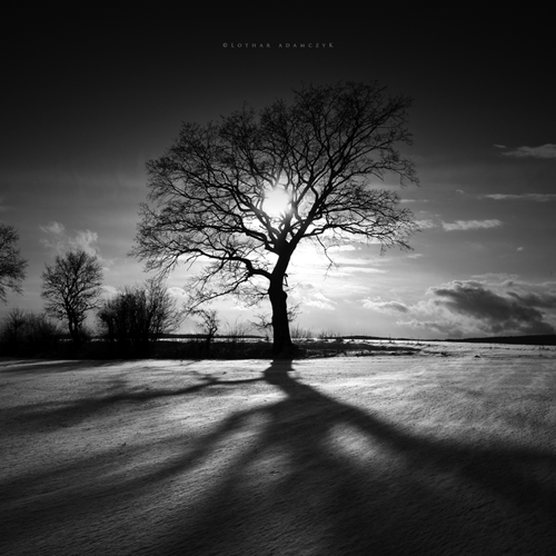 مرثية أولى للظلِّ