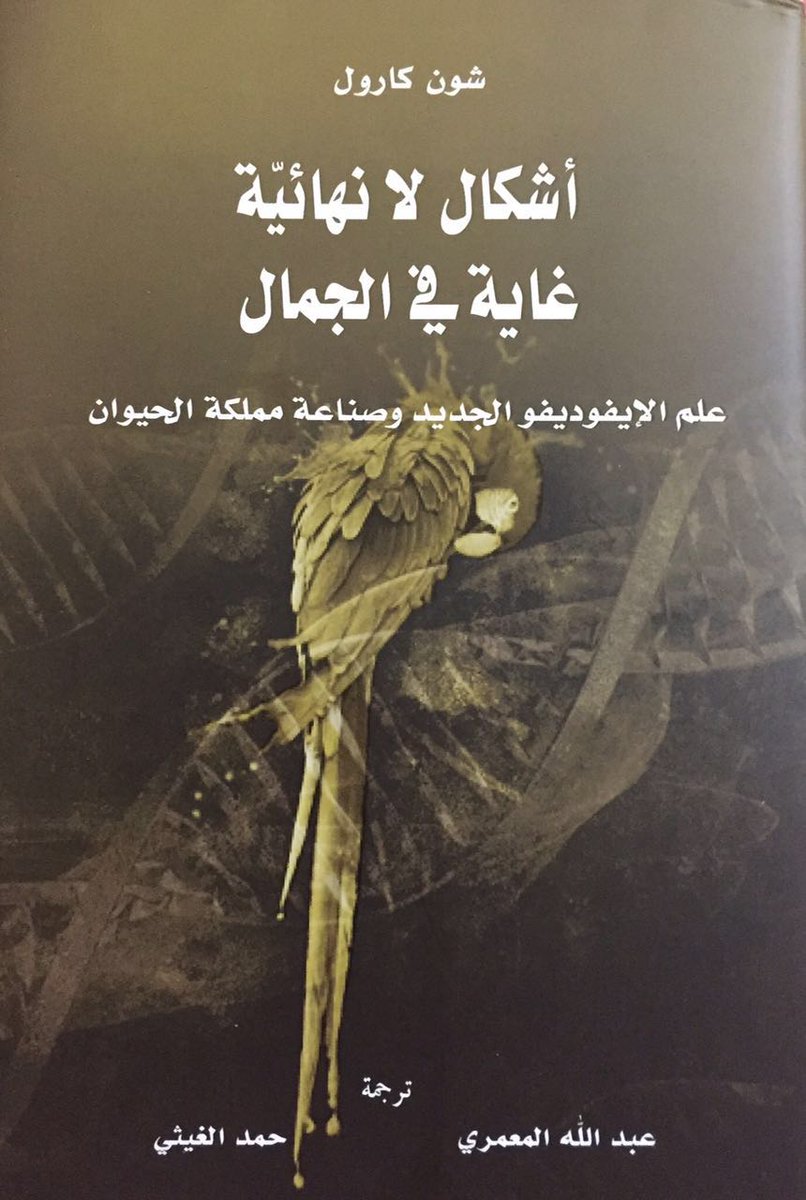 مقدمة كتاب أشكال لا نهائية غاية في الجمال