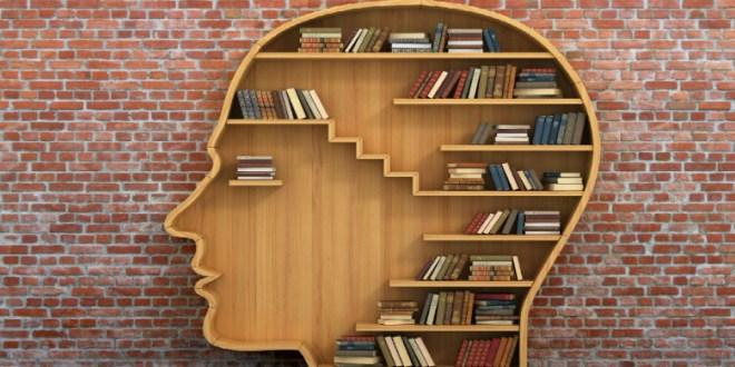 نظرية الأدب