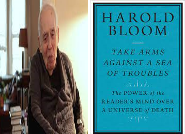 ســلاح الأدب في مواجـهة الموت