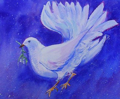 الحمامة الحمقاء