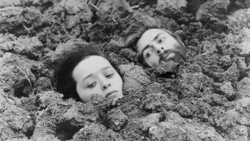 سيريالية النقد السياسي