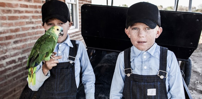 كلماتي لها معنى، كلمات ببغاءك بلا معنى.