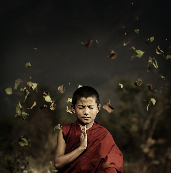 الذات الضائعة ومجتمع السقوط