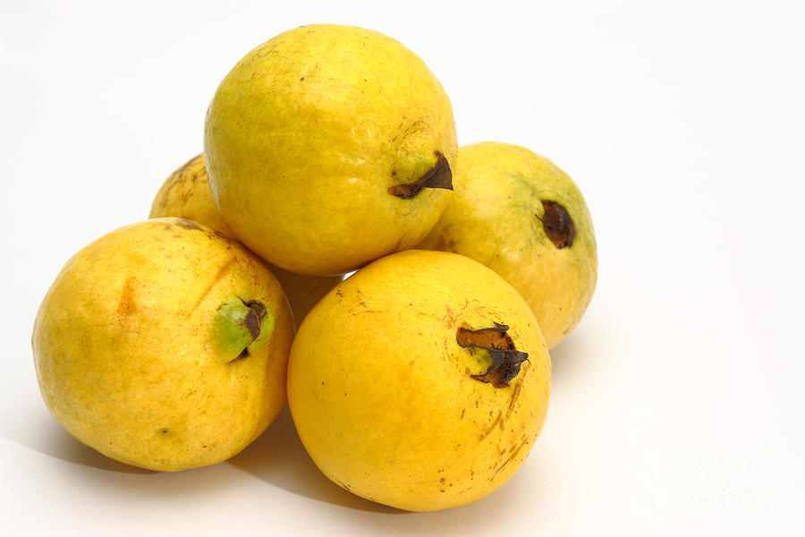 الزيتون والجوافة: الشعر الحر وقصيدة النثر