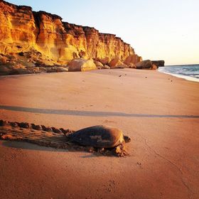 في أوج العتب !
