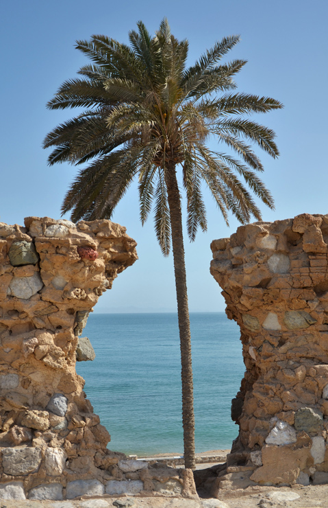 جزيرة قشم والزيارة الأولى