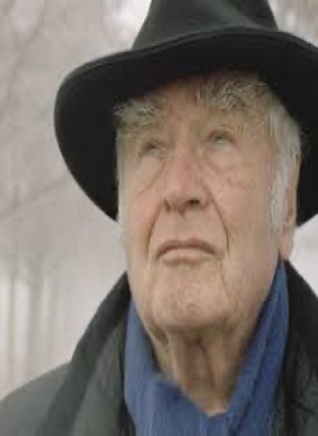 راوية مارتن فالزر الأخيرة.. كلما اتسعت الرؤيا  ضاقت الرواية