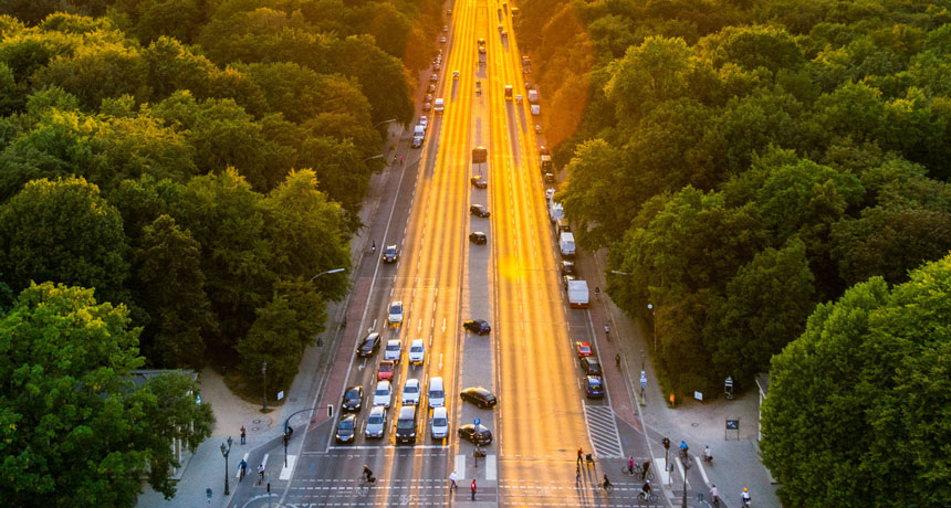 في المدن الحارَّة .. زراعة النباتات ليست سوى مزيد من التلوث!