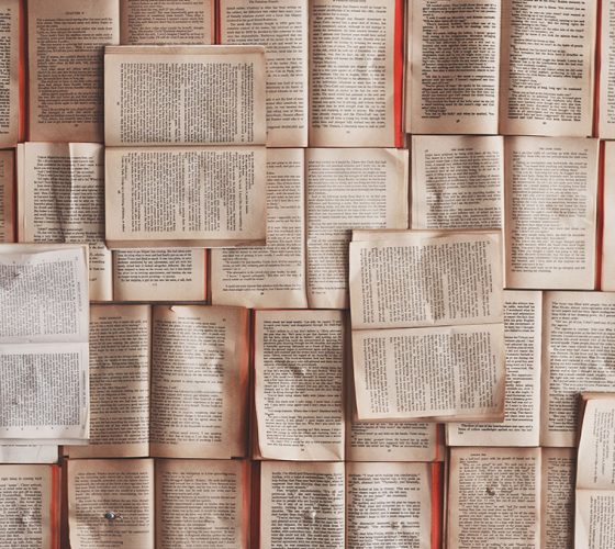 ترجمة المصطلح بين “نايدا” و”فينوتي”