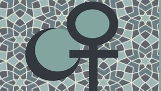 “السجالات والتحديات داخل النسوية العربية”