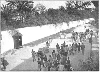 زنجبار .. نقاط تبحث عن توضيح