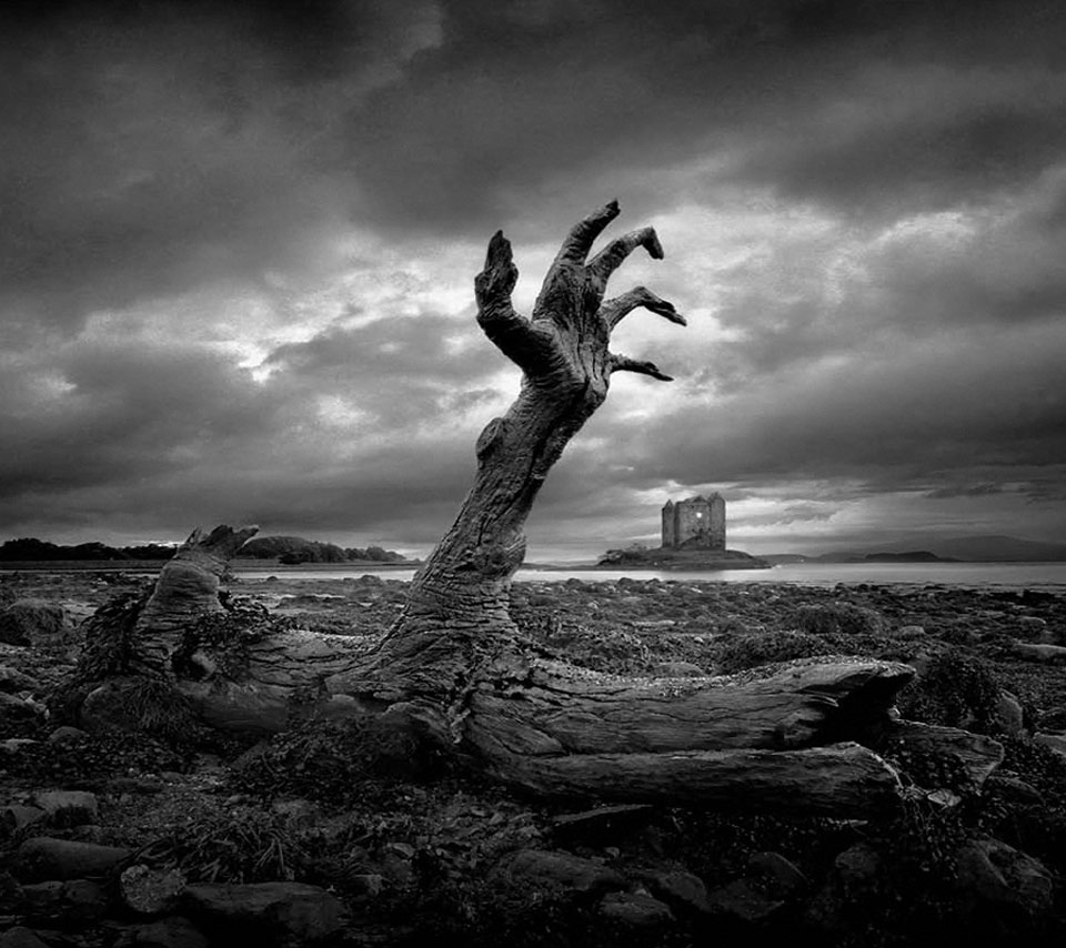 آكلوا الولائم