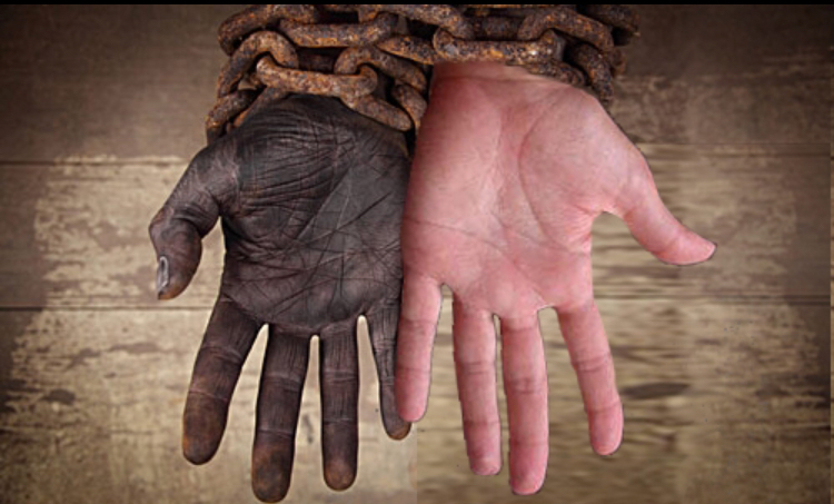 تاريخ العبودية بين الحقيقة والتفنيد